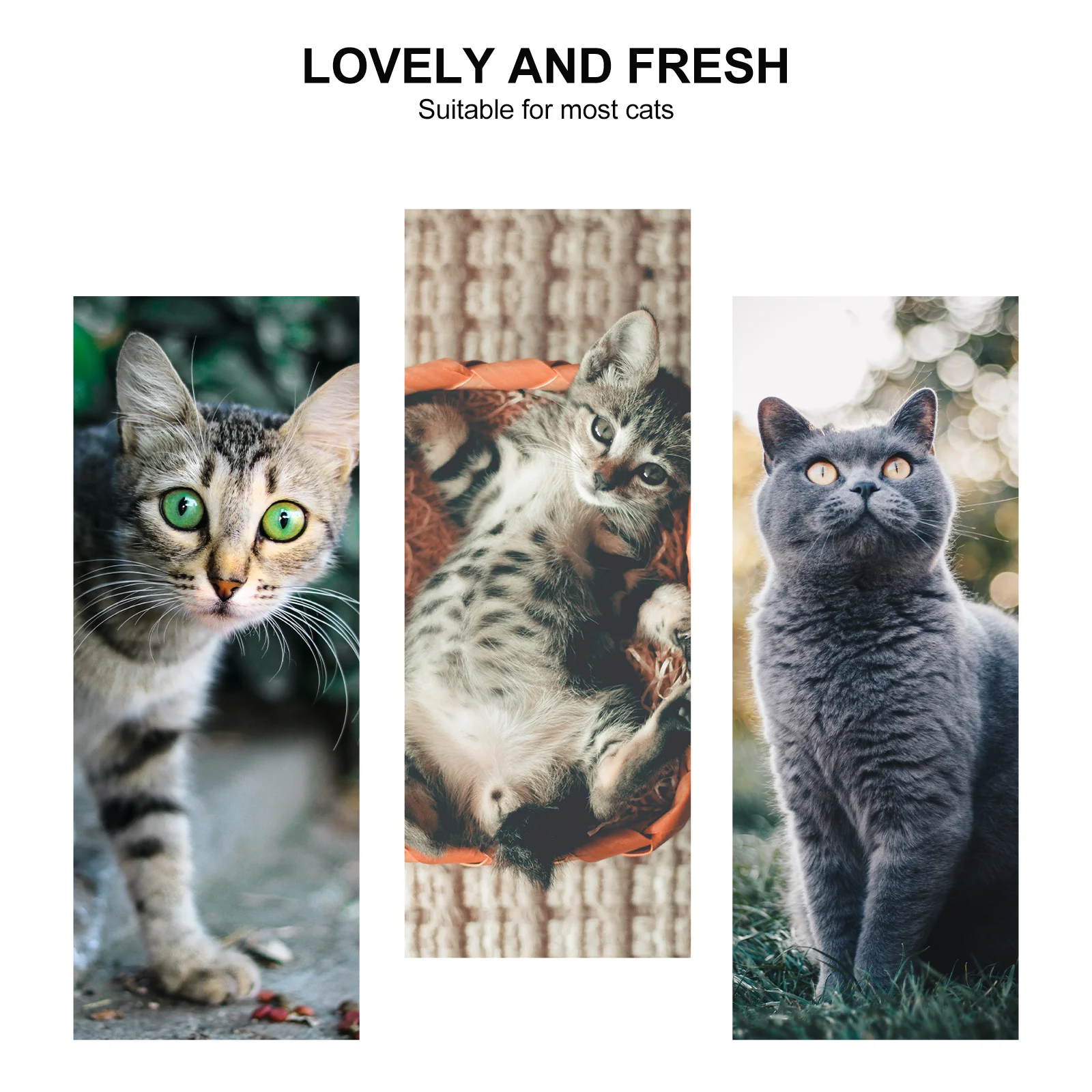 

1Pcs Pet Paper Collar Lightweight Anti-Bite Cat Neck Hoop Post Surgery Protective Collar Prevent Licking Biting Scratching