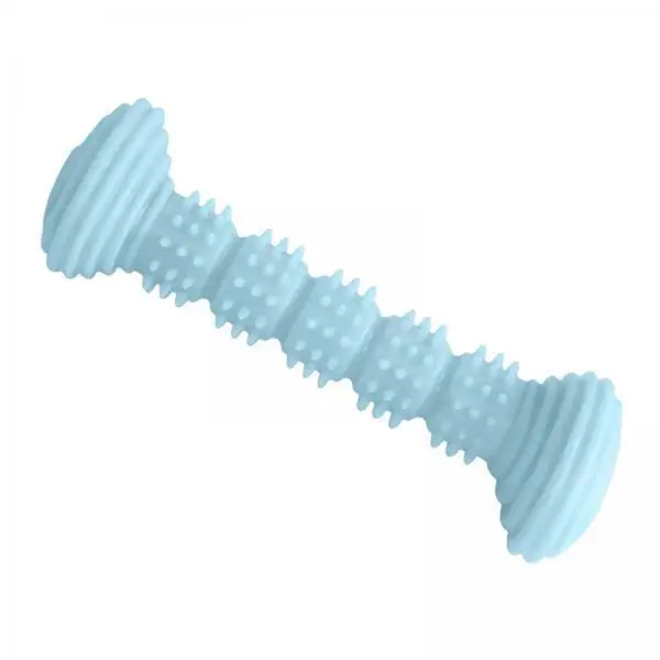 Interactive Chew TPR Dog Chew Toy Toothbrush Design Bite Resistant Training Toy for Indoor Exercise