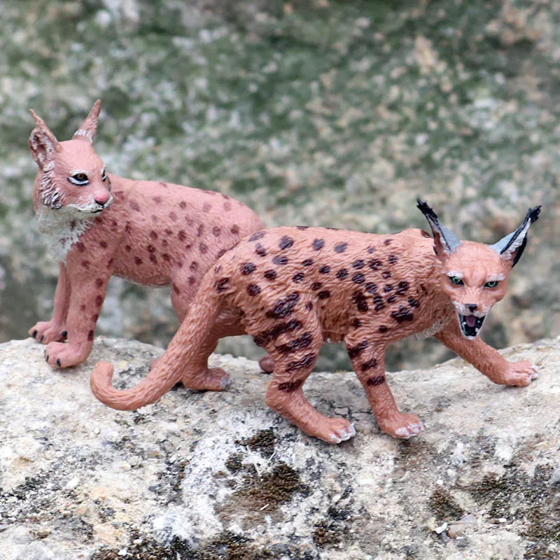 Oenux Simulation Wilde Tiere Bengalkatze Tiger Katze Luchs Caracal Leopard Action Figur Figuren Modell Bildung Miniatur Kind Spielzeug – Detail 18