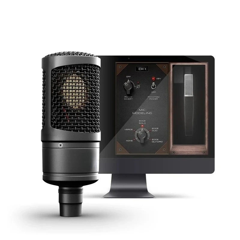 

Modeling Microphone Microphone Gold-Plated Large Diaphragm Recording Live Stream Microphone