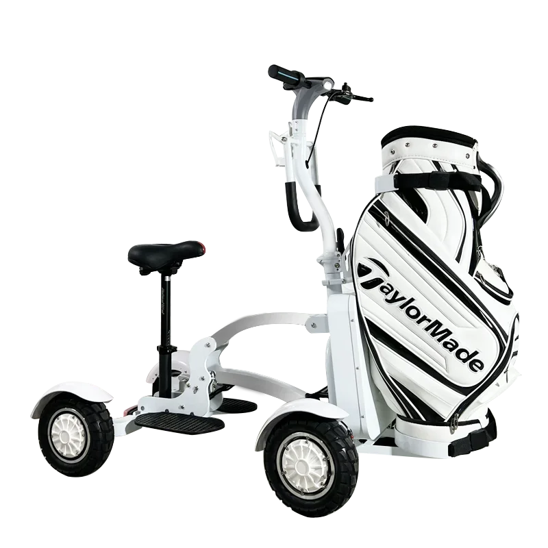 High Quality 2400W 48V Long Range Electric Golf Cart Family Electric Tricycle 4 Wheel Electric Scooter