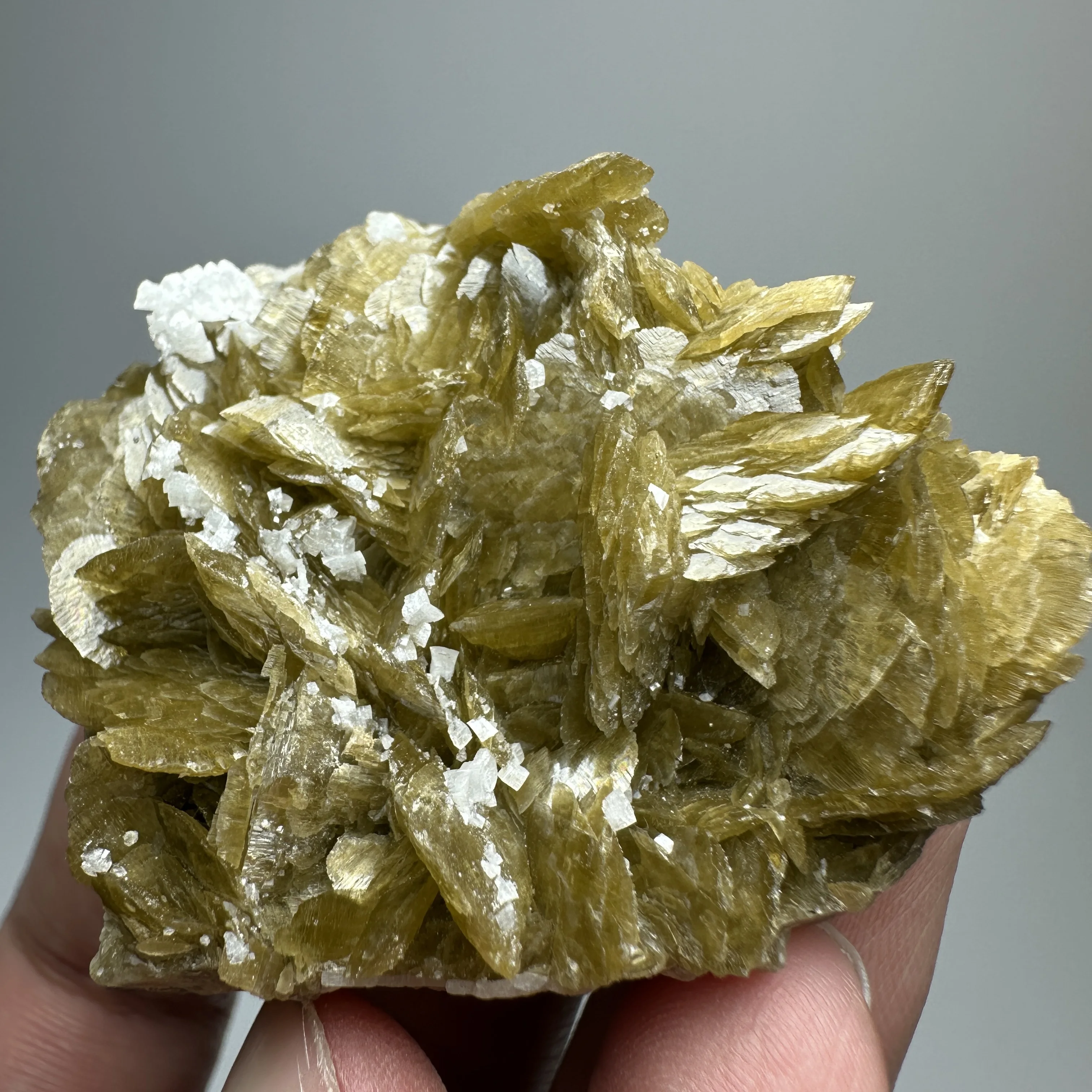 

Natural Natural Siderite And Muscovite Chalcopyrite Symbiotic Mineral Specimen Healing Crystal Energy Home Decor Collection