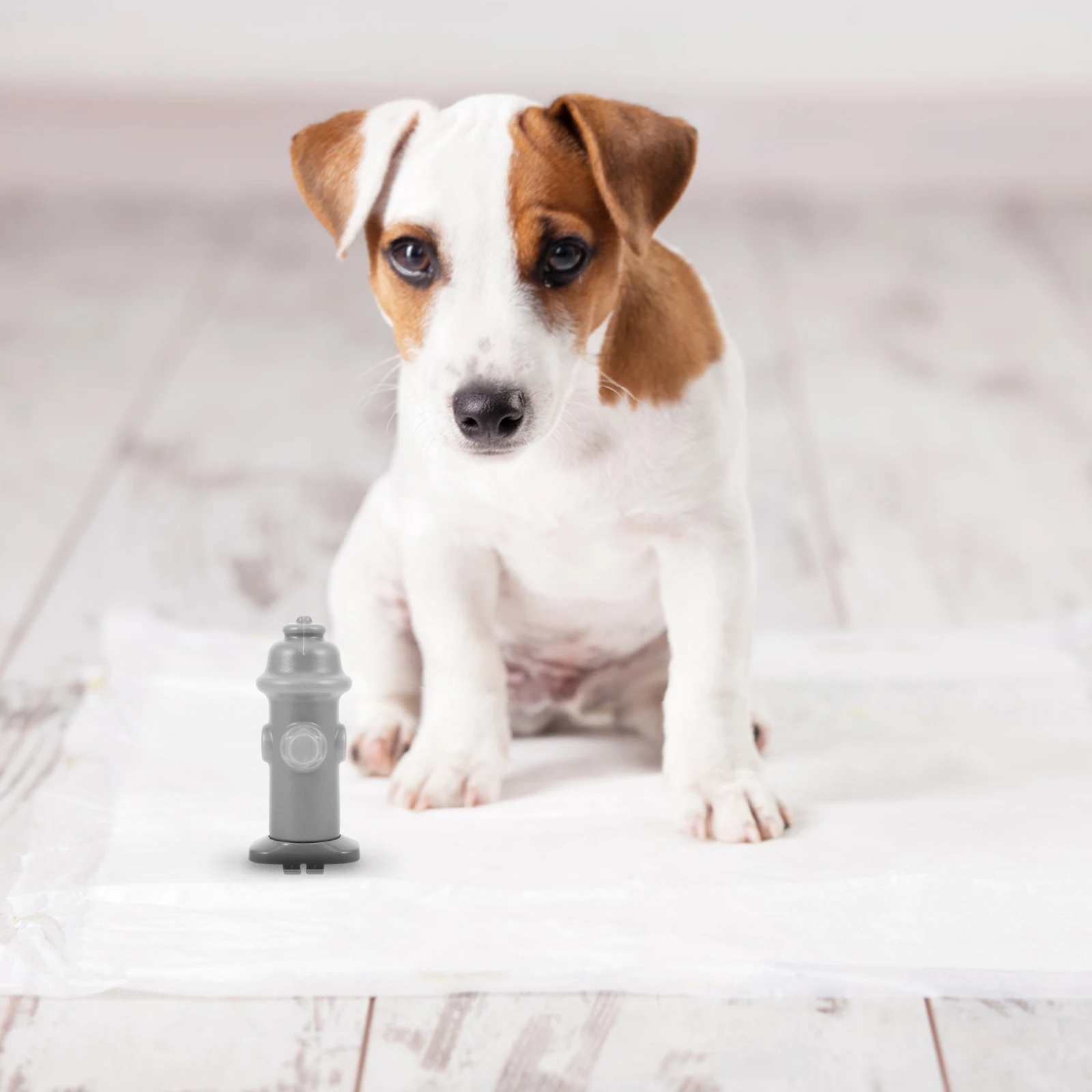 

Dog Potty Tray Urine Post Thickened Plastic Puppy Toilet Training Indoor Pet Bedpan Catheterization Column For Pet Train Supply