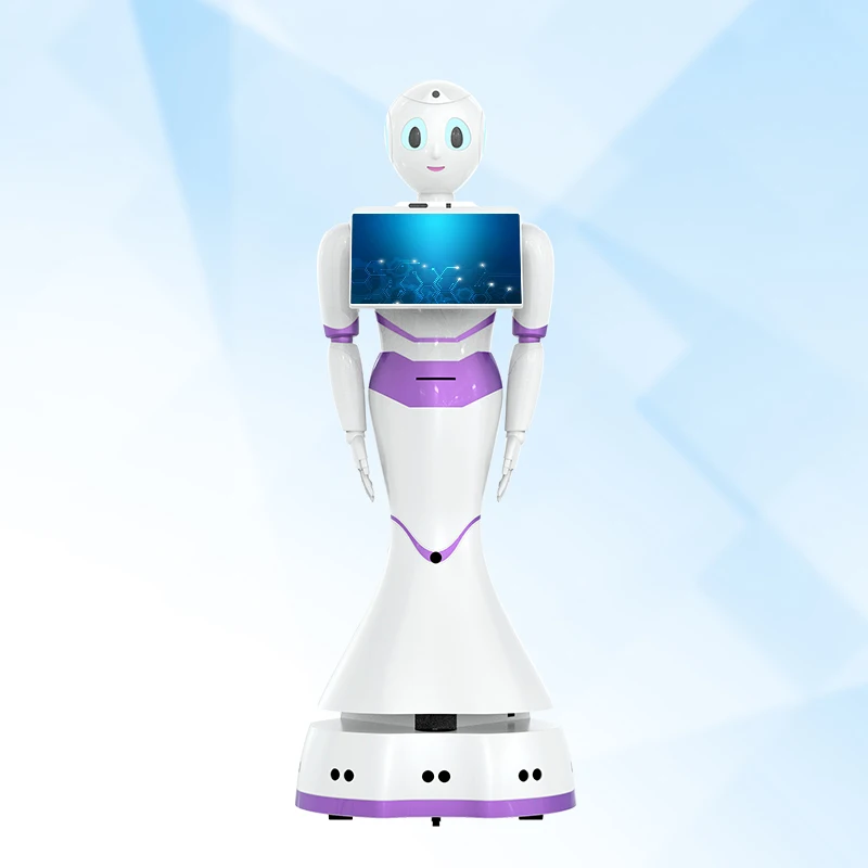 Reeman Humanoid Robot Full-duplex intelligent voice interaction Intelligent Multi-function Smart robot