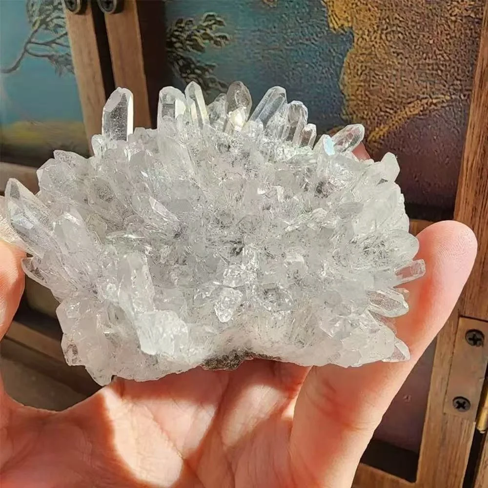 Natural Clear Chrysanthemum Crystal Cluster Specimen Healing Stone Collector’s Gift Energy Amplifier Meditation Quartz Decor