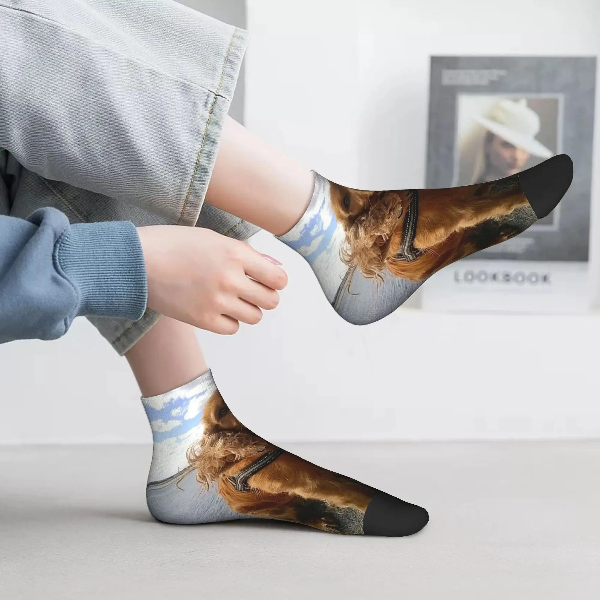 

Всесезонные забавные крутые носки с изображением кокера-спаниеля и собаки в стиле Харадзюку, впитывающие пот носки для экипажа, забавные чулки для мужчин и женщин, подарки