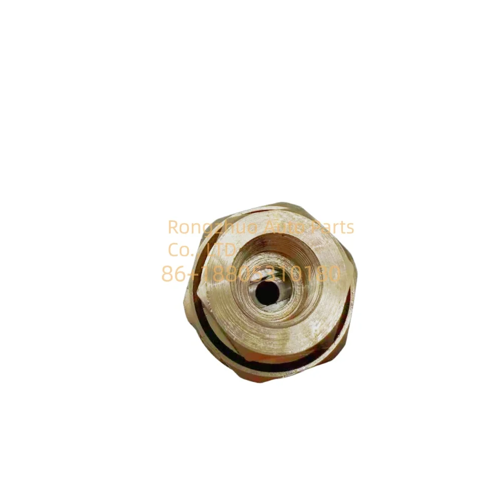 Anwendbar für HD-F001 HD-B009 Scania Cummin Truck SERIE Druckbegrenzung2019227 2872203 2872401 4307376 4383889 (M20*1,5) – Detail 2