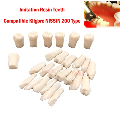Modelos de dientes dentales de resina de imitación, 32 piezas, para entrenamiento de enseñanza de odontología, compatibles con NISSIN 200, dientes de repuesto