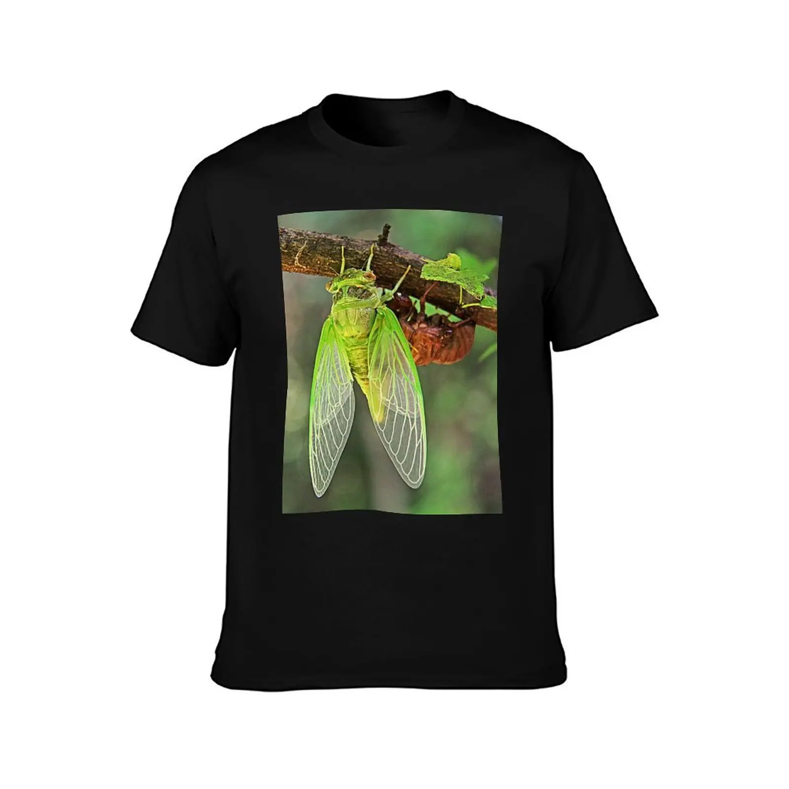 Cicada Emerging from it's Shell T-Shirt Casual Fashion Print Tee Top T-Shirt
