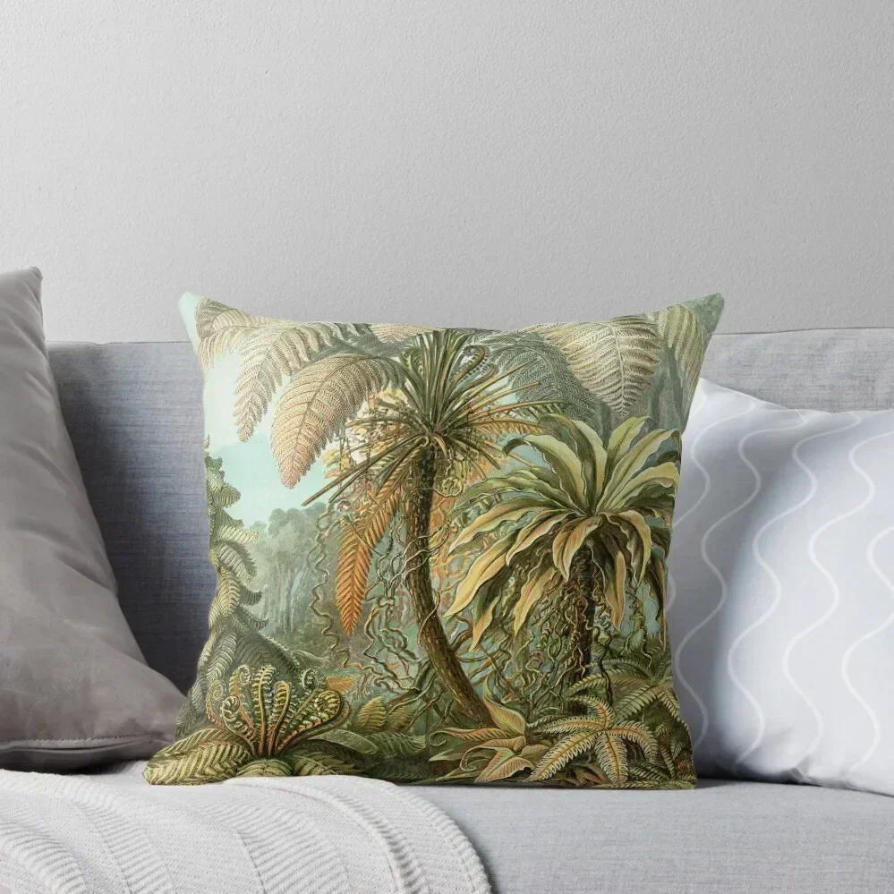 

Ferns - Ernst Haeckel Throw Pillow Decorative Cushion Cover Sofa Decorative Covers Decorative pillowcase pillow