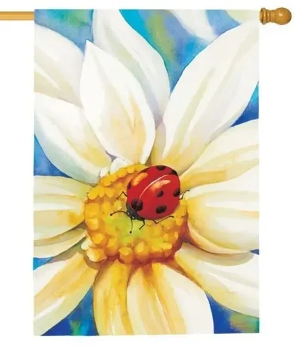 Morning Daisies Hou… - image