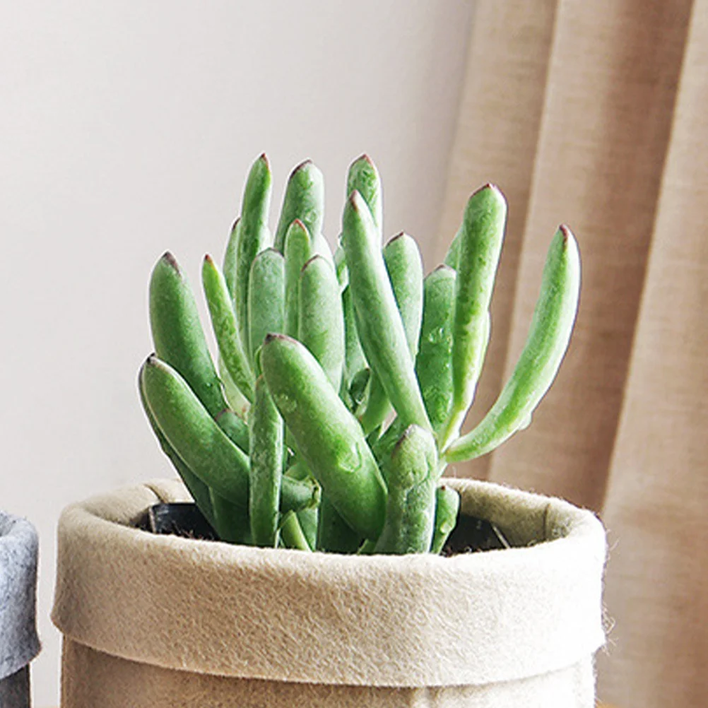 

2Pcs Wool Felt Flowerpot Modern Home Decor Succulent Cactus Plant Holder Fashion Artistic Desktop Pot Flower Pot