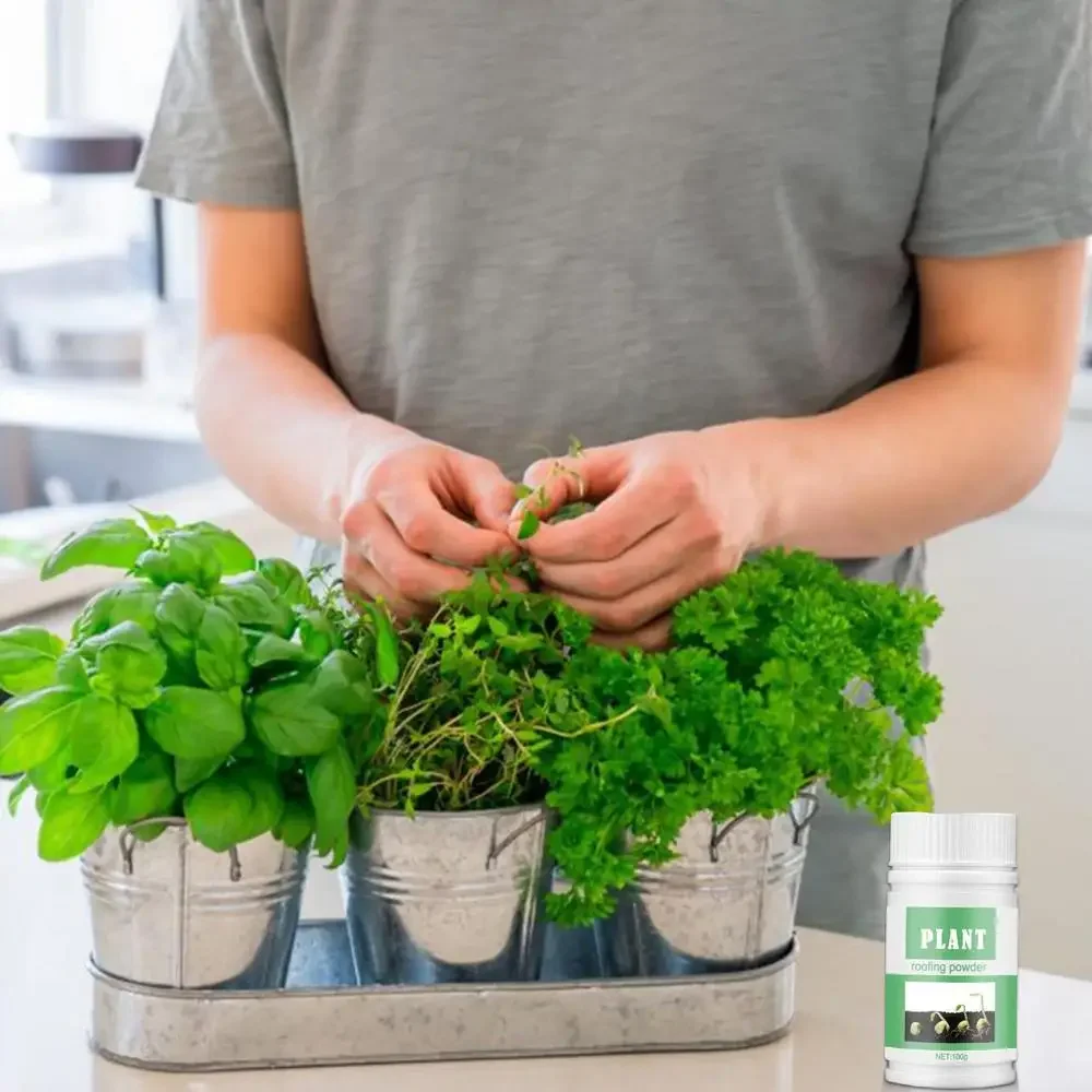 100g Fast Rooting Powder Rooting Hormones Powder Improve Flowering Cutting Survival Rate Plants Grow Cut Dip Powder Fertilizer