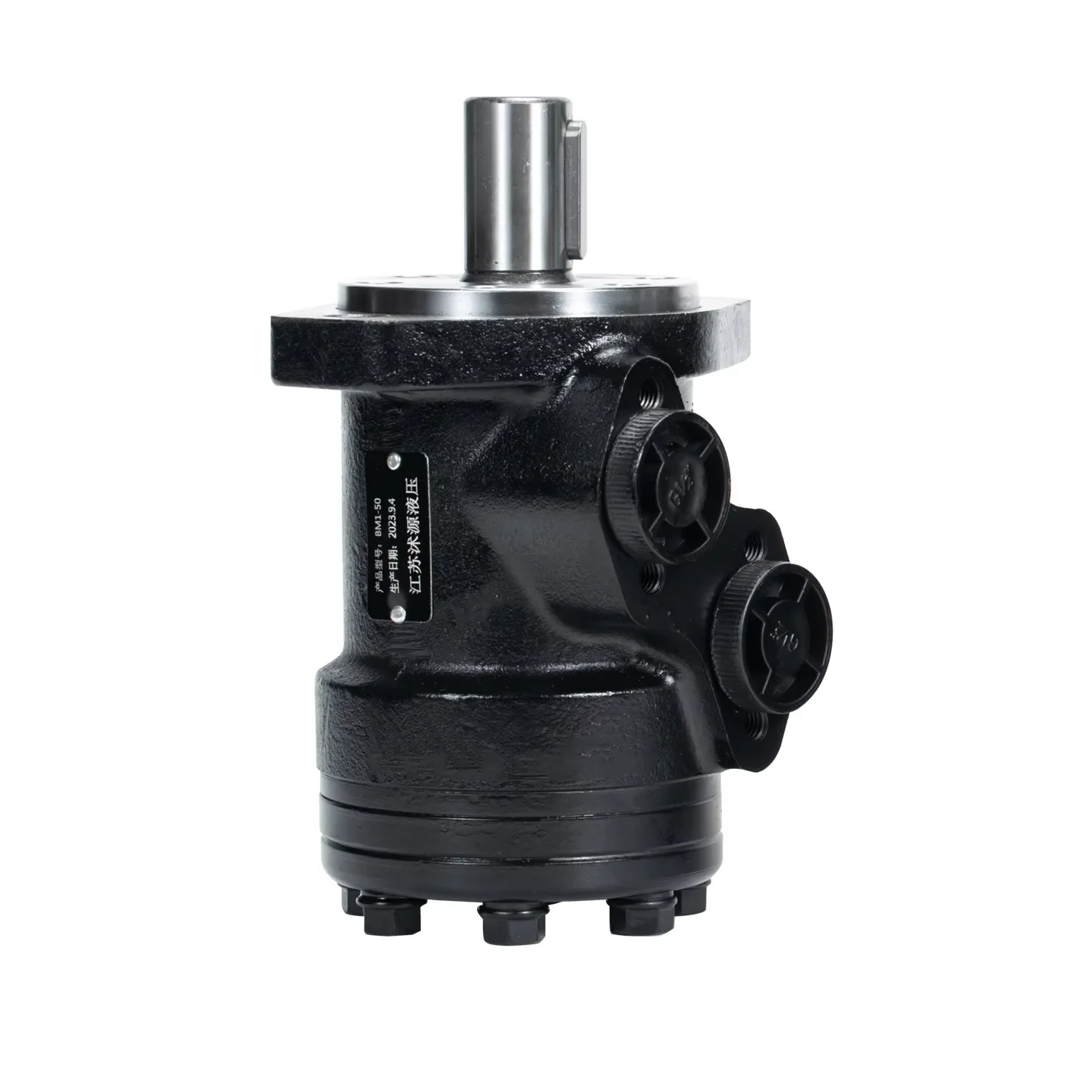 Hydraulic Motor BM1 Injection Molding Machine Mold Motor High Torque Low Speed Cycloid Motor Rotary Motor 160400