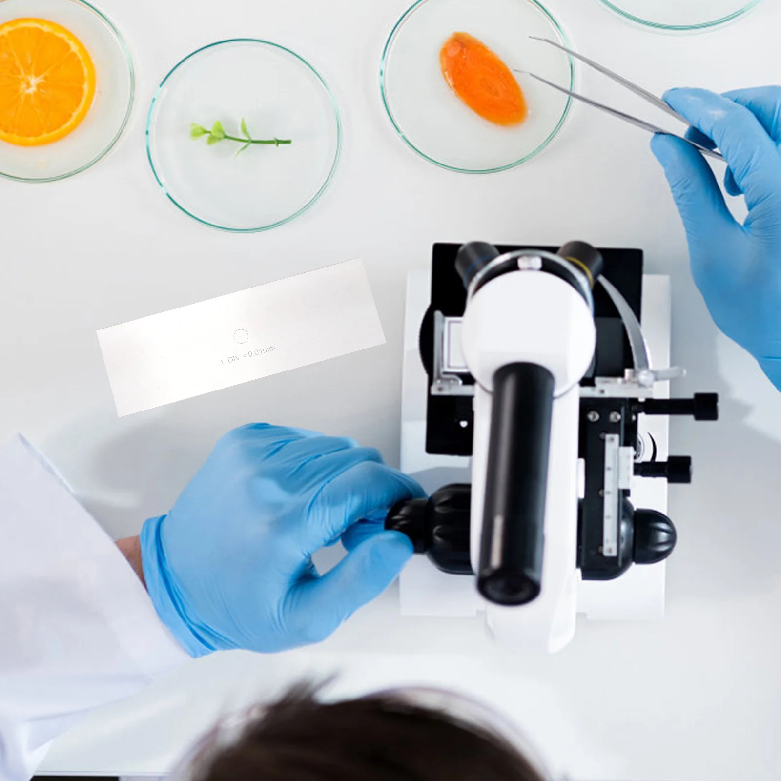 مجهر ميكرومتر قسط الزجاج معايرة الشريحة متعددة الوظائف لوحة الشريحة حاكم معايرة دقيقة المرحلة ميكرومتر