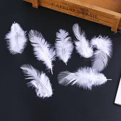 6-13CM 50 Root/100 Root Small White Tip Feather DIY Handmade Jewelry Accessories Handicraft Decoration Clothing Accessories