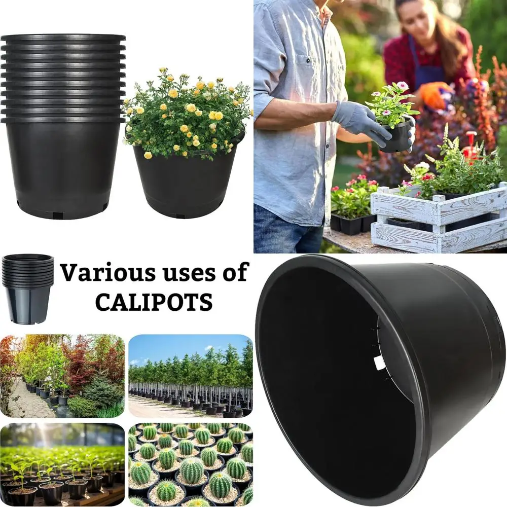 

Garden Pots in 1, 2, 3, 5, 7, 10, and 15 Gallon Sizes for Planting Flowers, Herbs, and Vegetables
