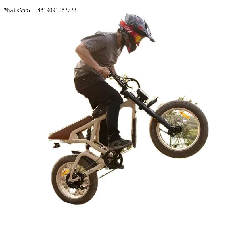 

Clrak Cougar Electric Mountain 1000w/1200w 60V Fat Tire E-Bike With Anti-theft Protection