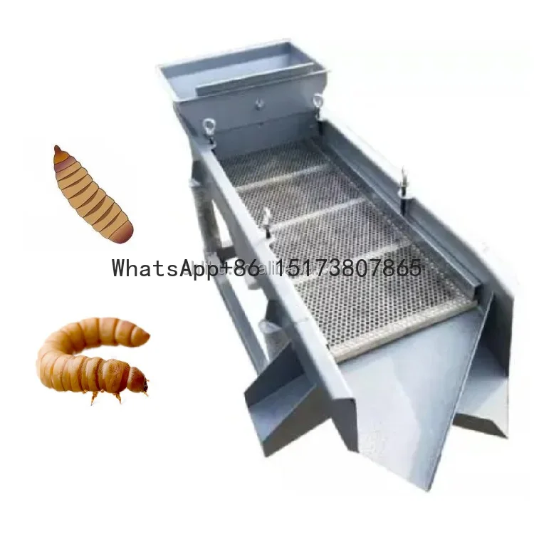 

Stainless Steel Yellow Mealworm Beetle Black Soldier Fly Sorting Separator Screening Sifter Sifting Machine Automatic