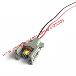 Delphi-conector eletrônico à prova d'água, Auto injetor diesel, plugue do trilho de combustível, chicote de fios, 2 pinos, T15, 10811963, 240PC024S8014, 1743486