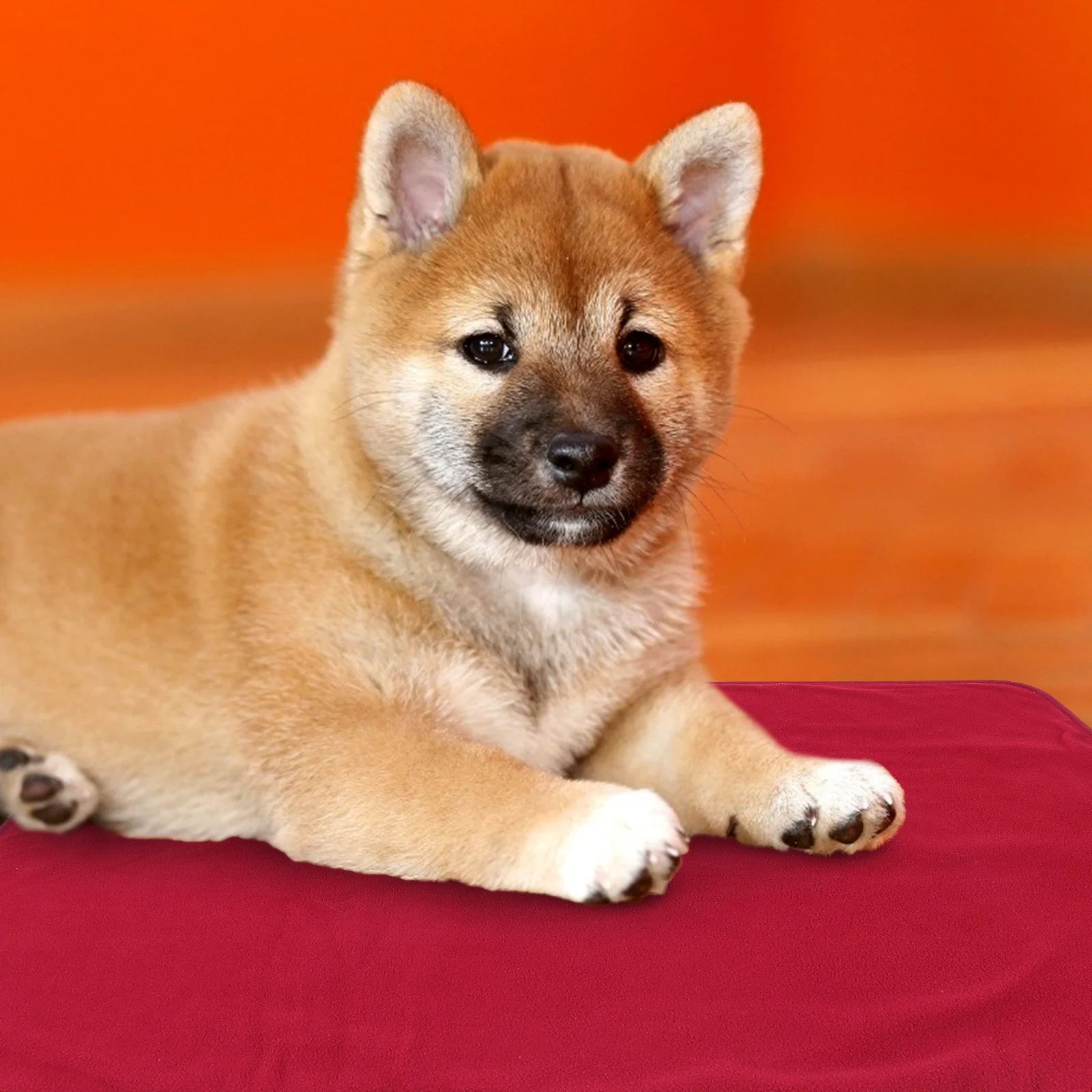 

Pet Heating Pad USB Electric Warmer Mat Pet Sleeping Cushion Home Dog Cat Heating Blanket Dog Warmer Mat