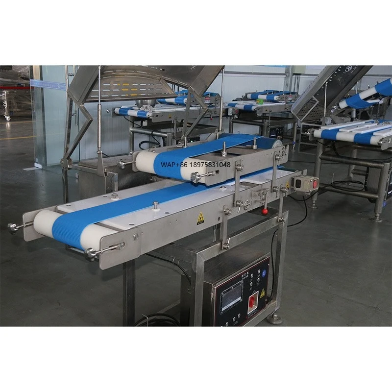 Stable Operation 304 Stainless Steel Quality Assurance Pork Beef Mutton Chicken Fresh Meat Cutting Machine