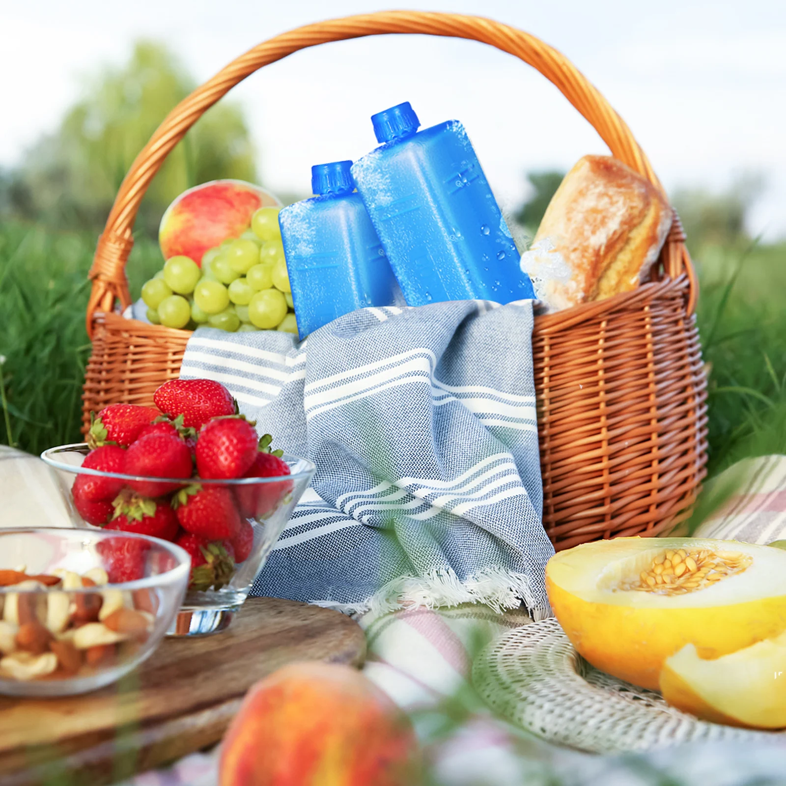 

4pcs Cold Chain Ice Box Reusable Cooling Plates Lightweight Freezer Packs for Coolers Portable Ice Storage Boxes for Outdoor