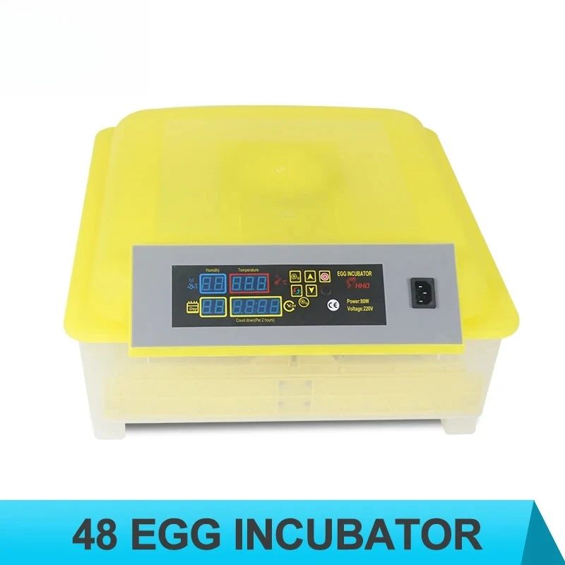 

Mini Poultry 48 Eggs Dual Battery Power 220v and 12v Full-automatic Chicken Incubator Egg Incubator for Eggs