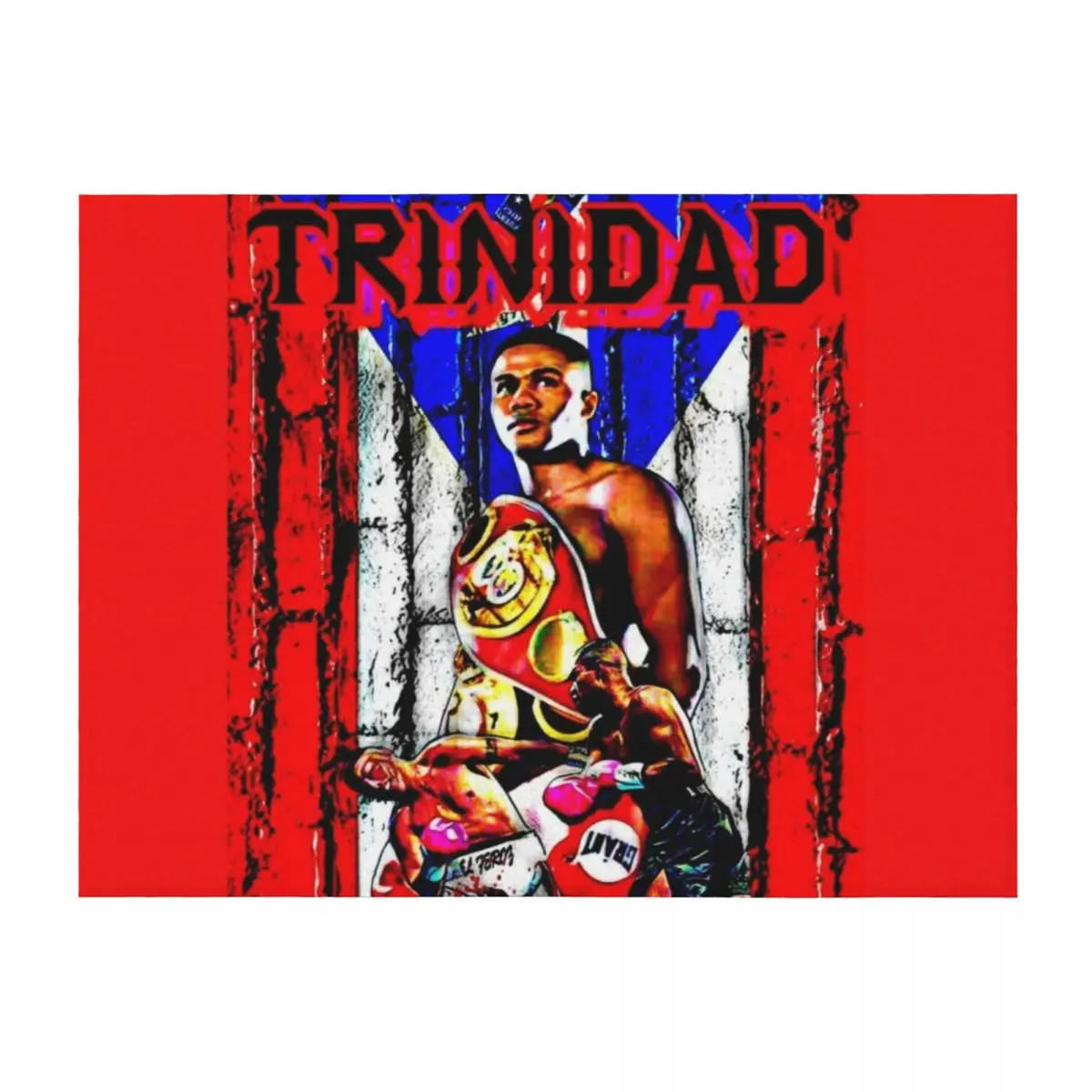 

Felix Trinidad 2 Throw Blanket Plaid For Decorative Sofa Hair Luxury St Blankets