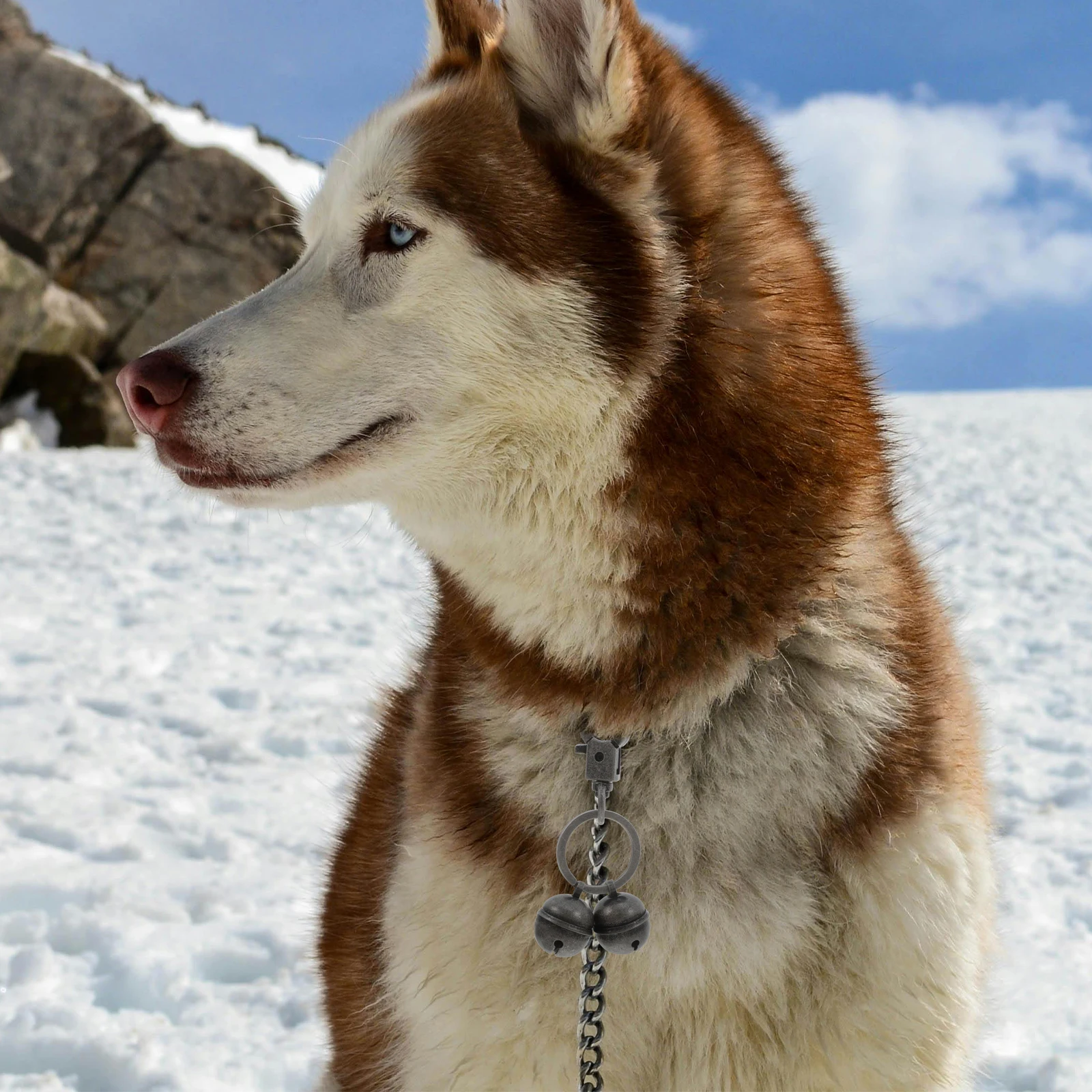 

Brass Bell Pet Collar Charm Clear Sound for Training and Tracking Small Dog Cat Accessories Vintage Brass Bells for Collars