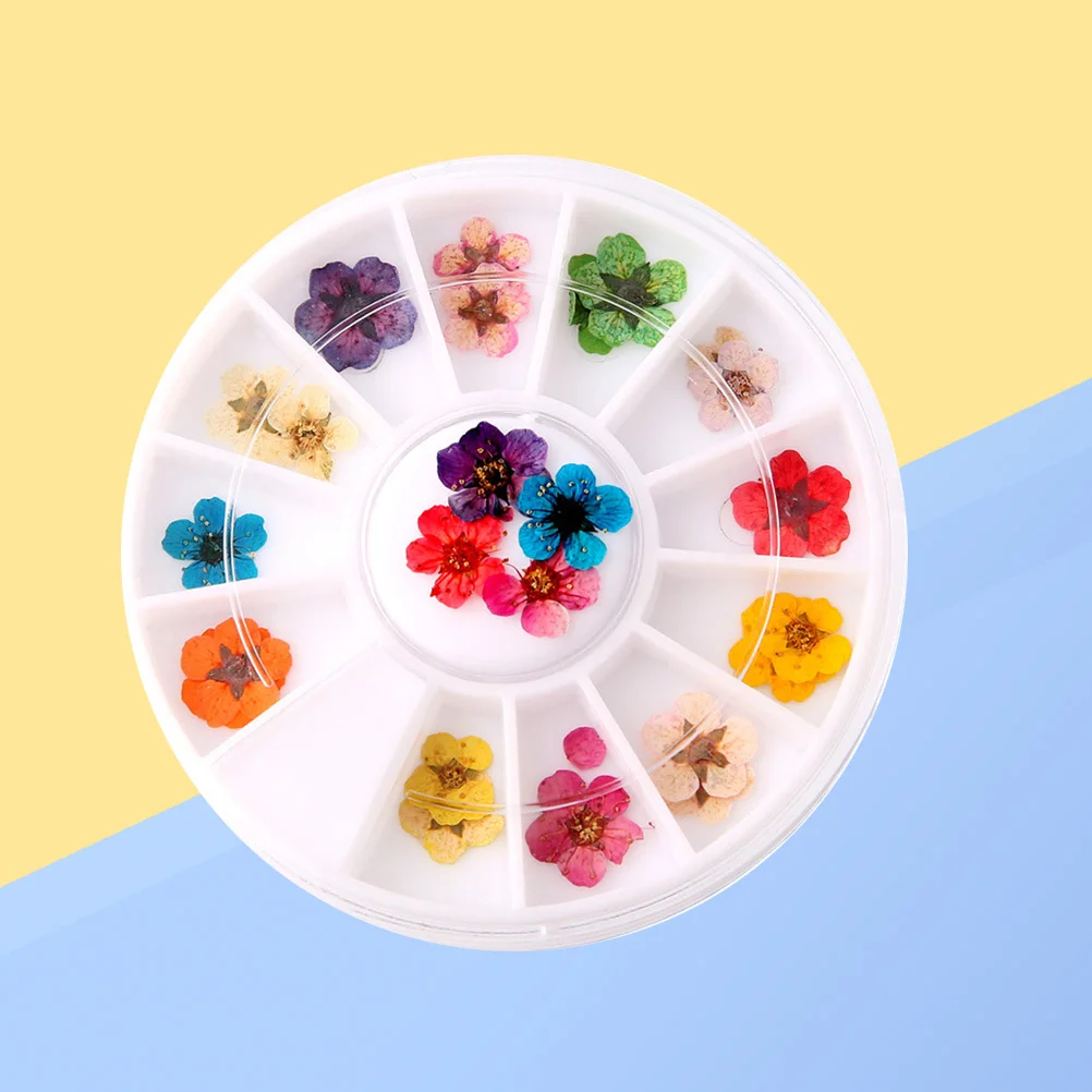 말린 꽃 예술 장식 혼합 색상 네일 디자인을 위한 미니 꽃 휴대용 매니큐어 액세서리 3D 네일 아트
