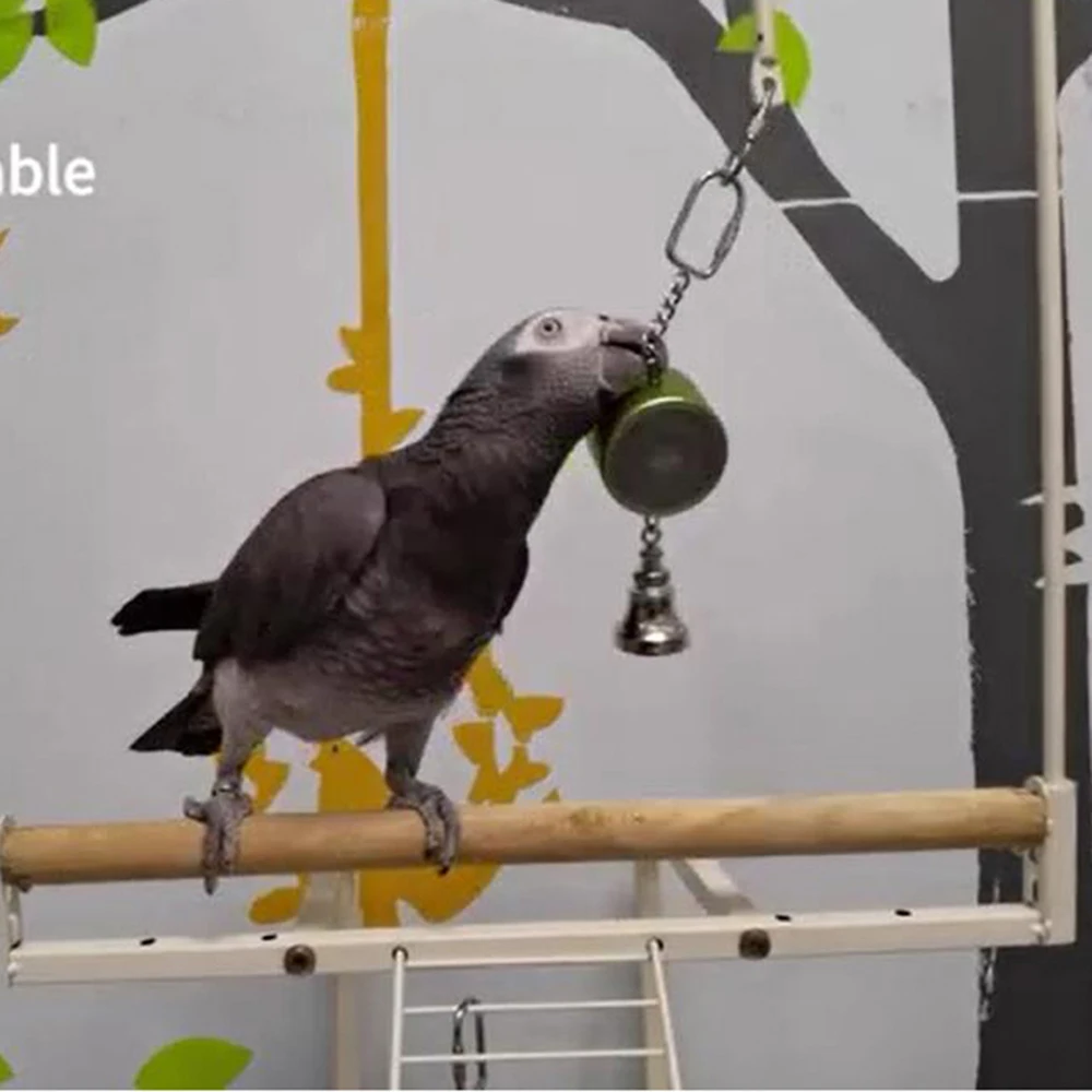 Bird Toys Parrot Talking Coach & Interactive Voice Bell Supplies  (Patent Pending, Latest Upgraded Version)