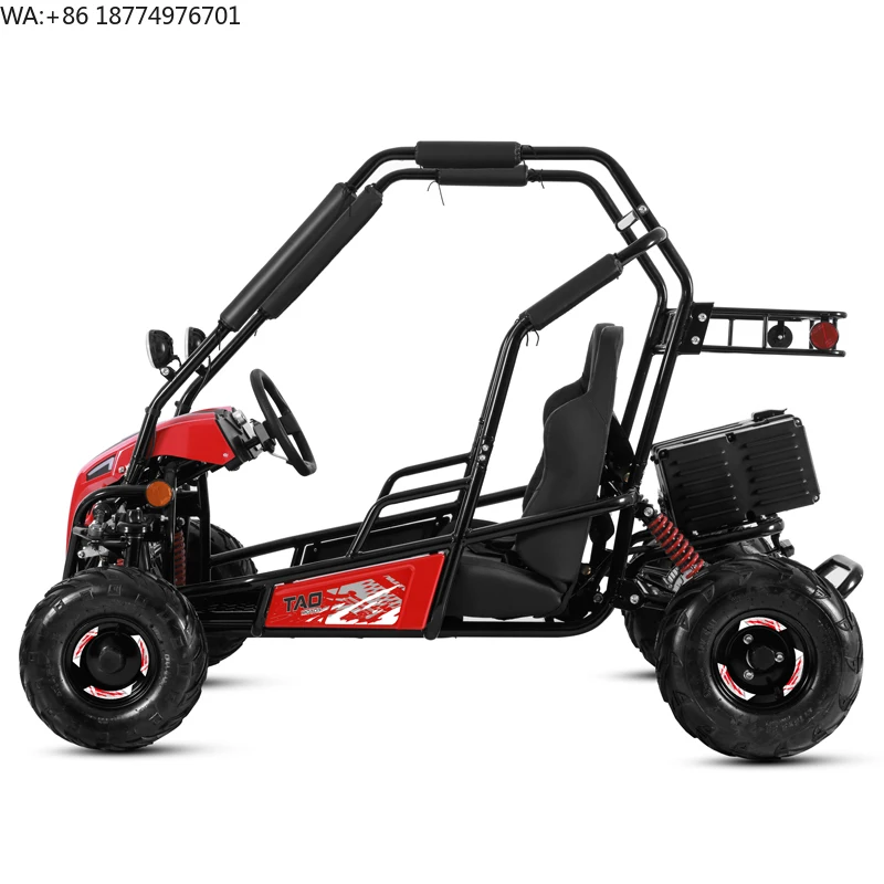 Tao Motor 2025 New 2 Seat Chain Drive Electric UTV Electric Go Kart for Kids