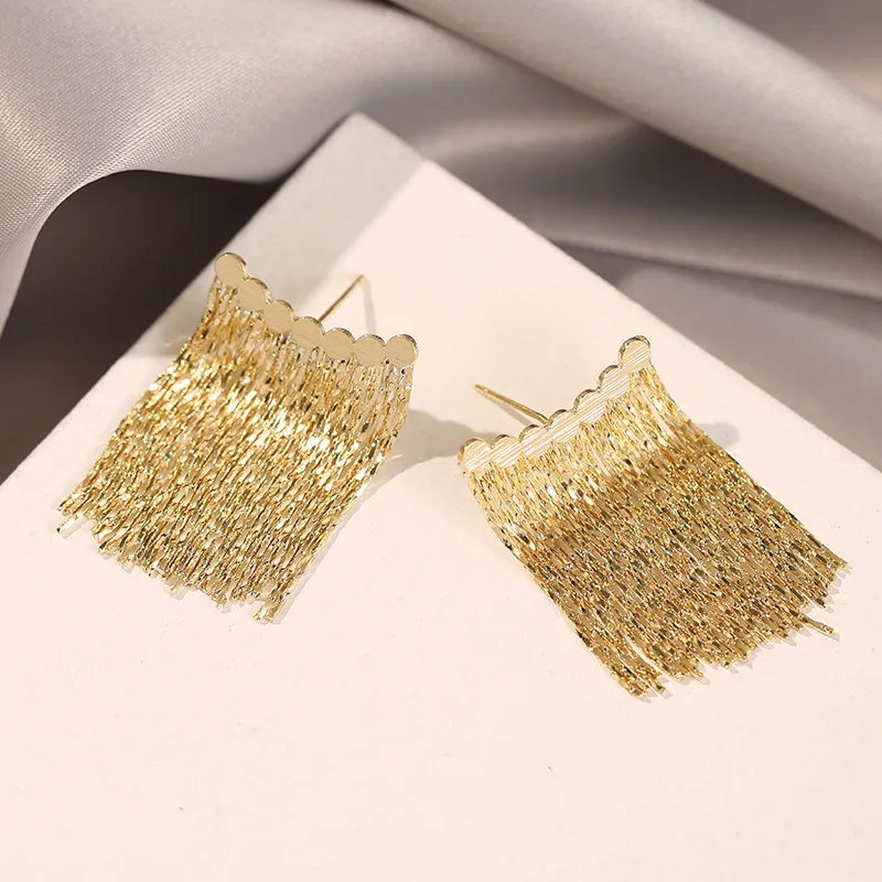 Elegant Tassel Earrings Light Luxury and Niche Design High-End Chain Earrings Exquisite Women's Accessories