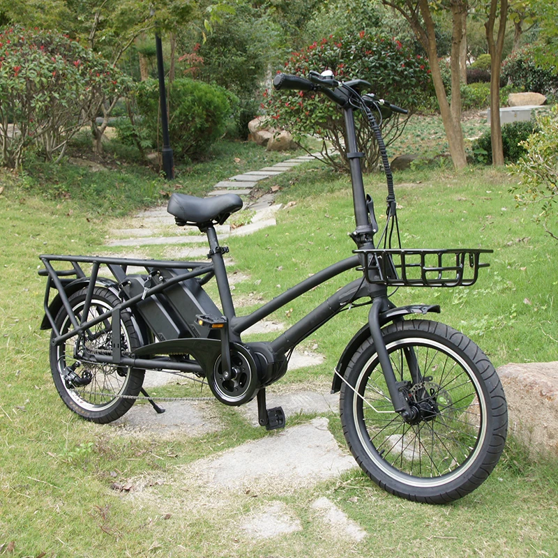 20 Inch Aluminum Alloy Mountain Frame 7 Speed High Quality 250w 36V Electric Mountain Bike Cargo Fat Ebike