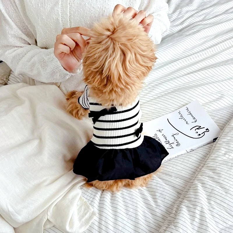 Thumbnail 4 - #60 Best Cat Apparel to Buy In 2026