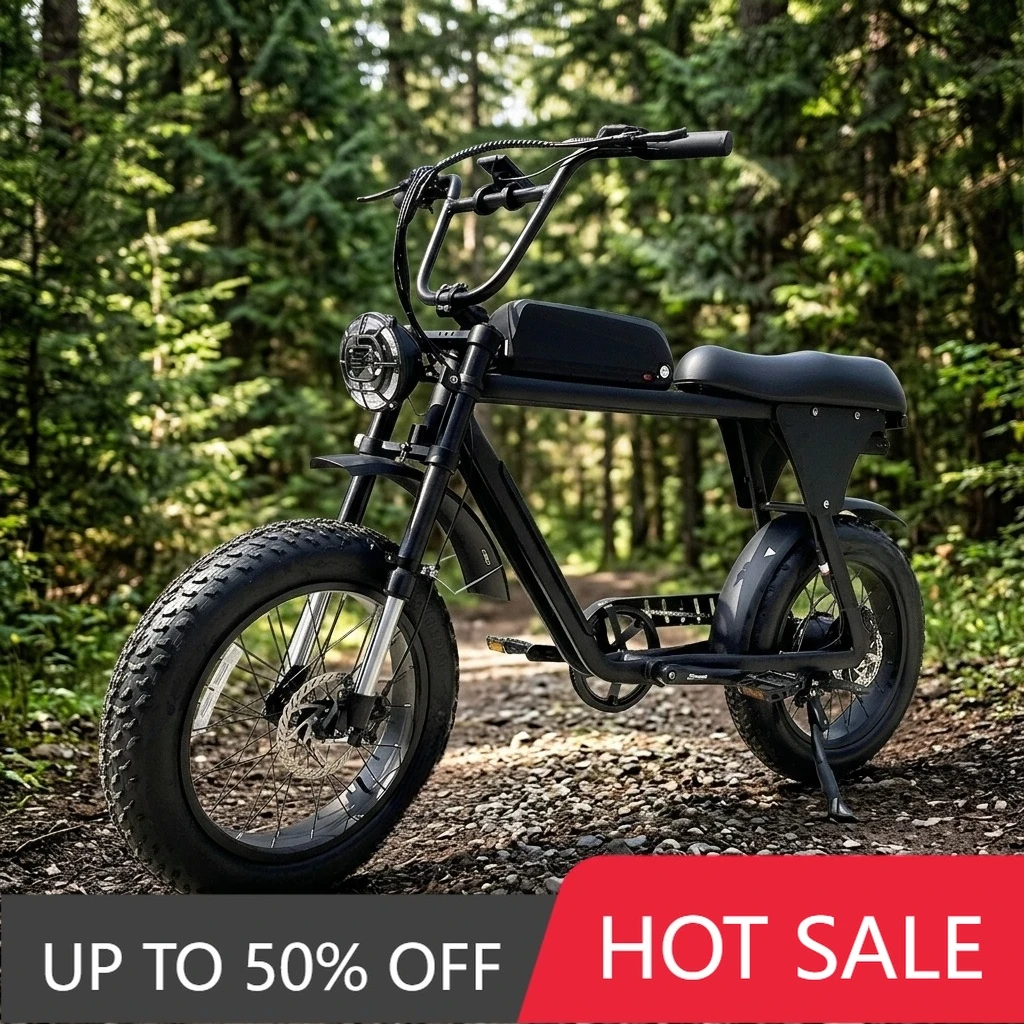 RRE The best-selling OEM ODM Chinese manufacturer of electric bicycles (with hydraulic brakes)