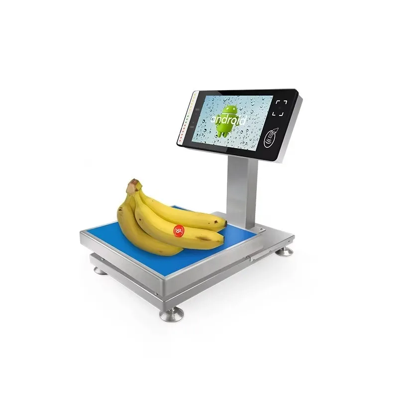 Pos System with Weighing Scales/all in One Pos Scale with Windows/Electronic Digital Weighing AI Pos Scale