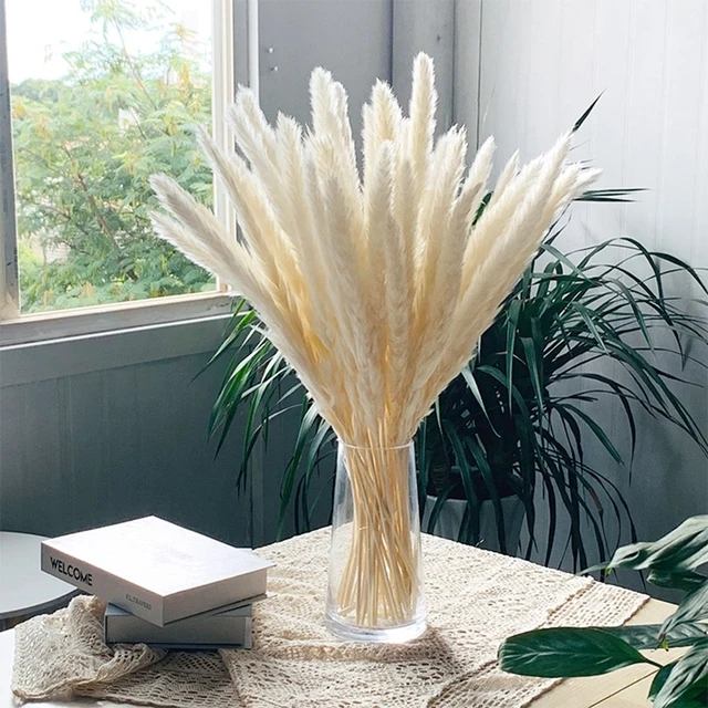 30pcs Natural Pampas Grass Dried Flower Halloween Artificial Plant Pot Backyard & Garden Outdoor Gothic Decor Home Wedding