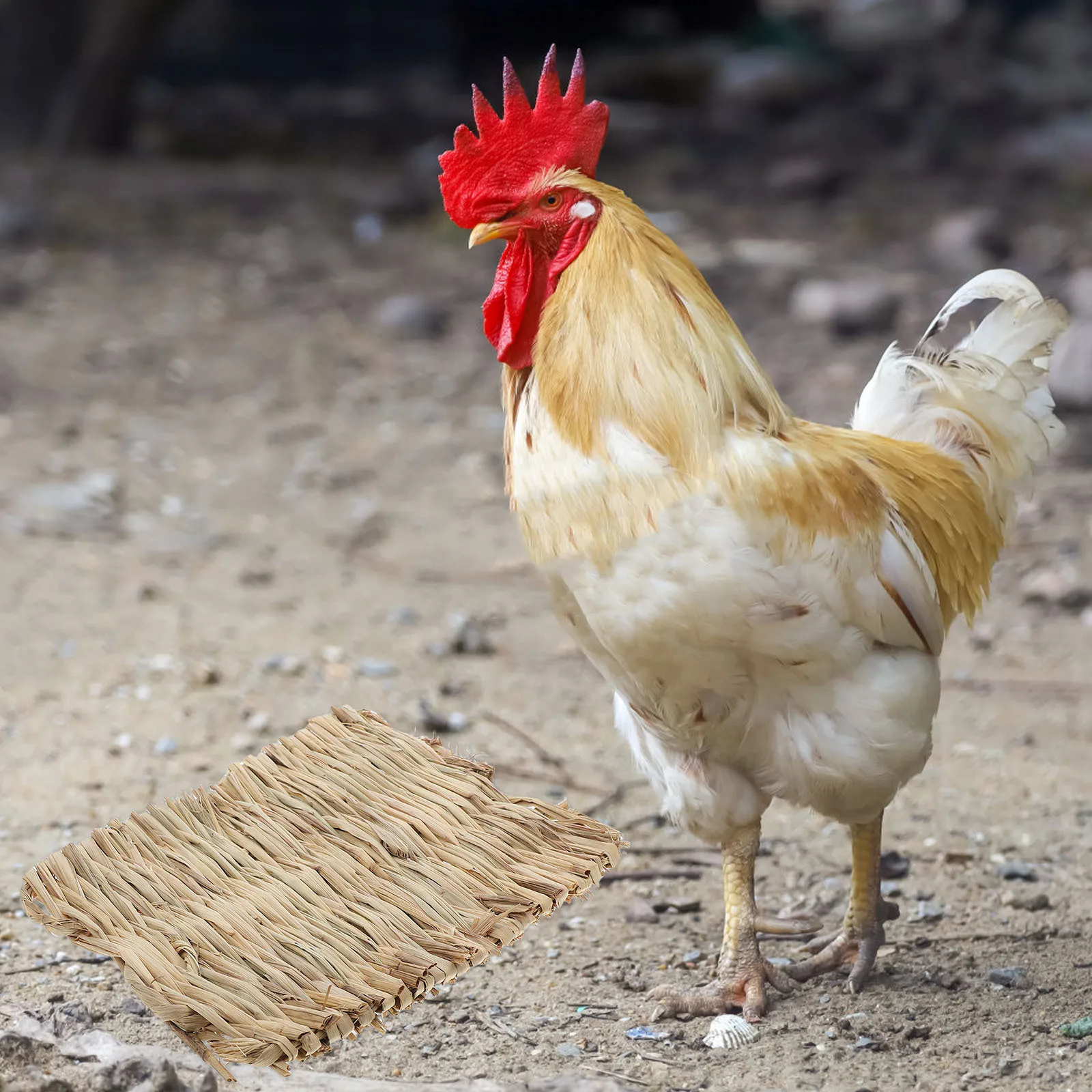 

4Pcs Durable Natural Grass Mats for Rabbits Birds Nesting Foraging Breathable Safe Washable Bedding Pads Cage Accessories