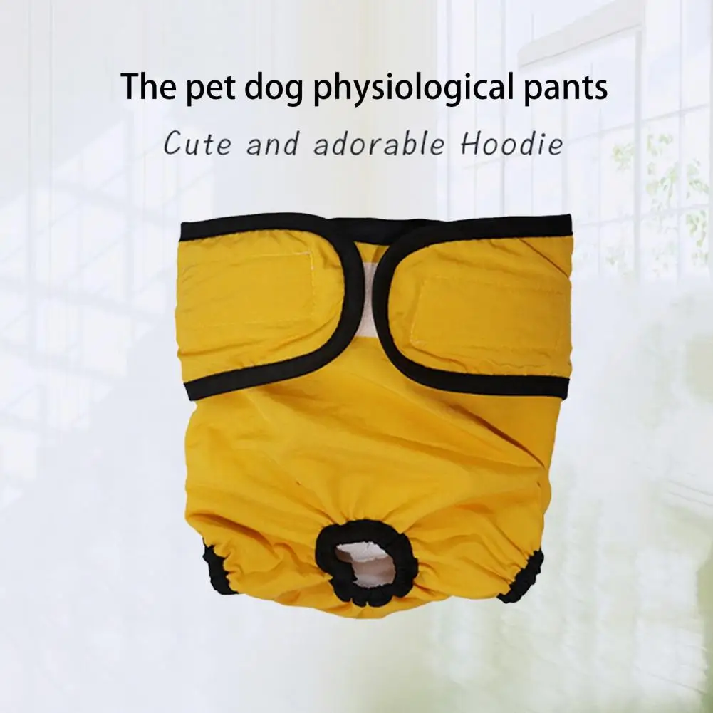 Lovely Bright Color Waterproof Breathable Dog Menstruation Underwear Briefs Dog Menstrual Pants Anti-harassment