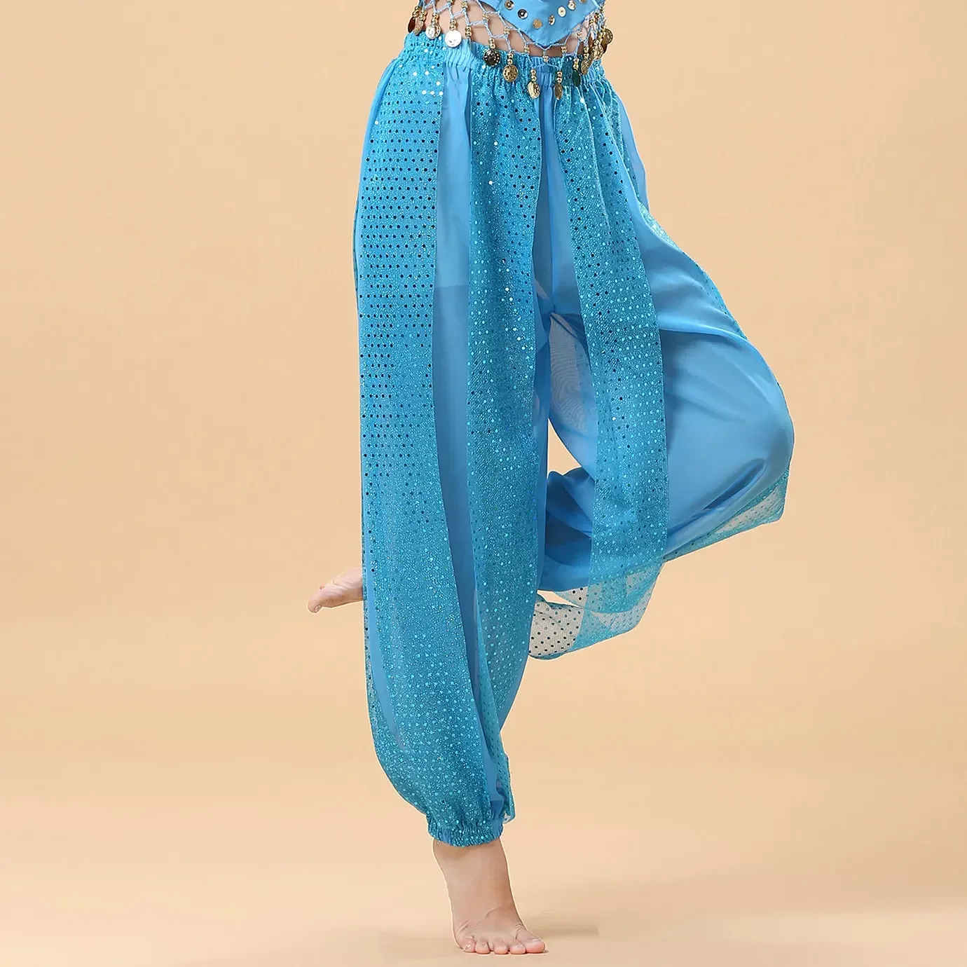 Indian Dance Performance Showcases Training Pants  Ethnic Dance New Adult Belly Dance Chiffon Practice Clothing Highlights Pants