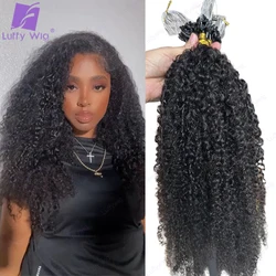 3C 4A Afro Kinky Curly Microlinks Hair Extensions For Black Women Double Drawn Burmese Micro Loop Ring Human Hair Extensions