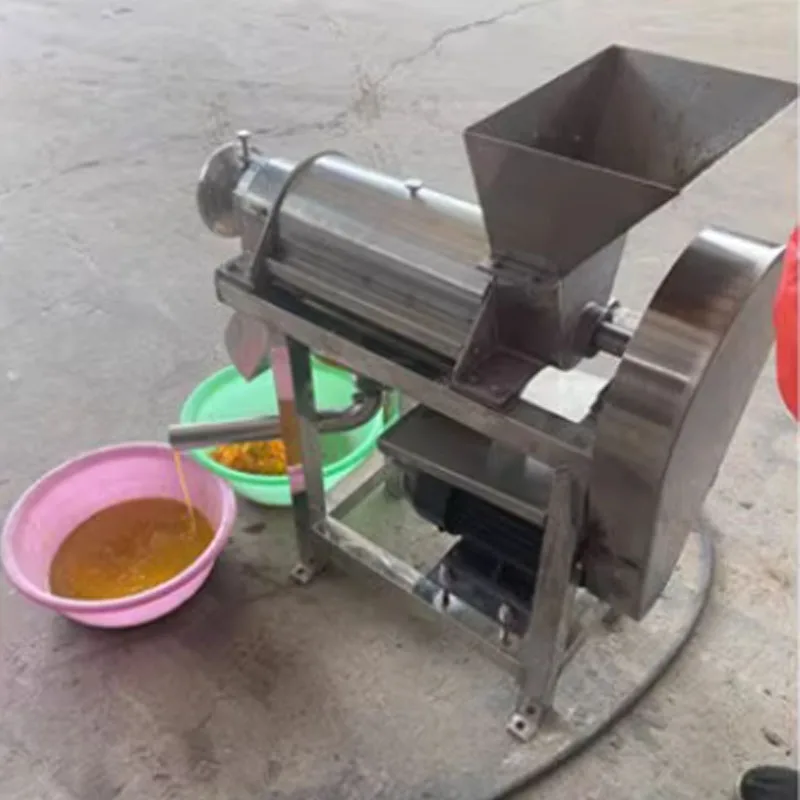 

Hot Selling Commercial Cold Press Juicer Machine/Fruit and Vegetable Juice Extractor