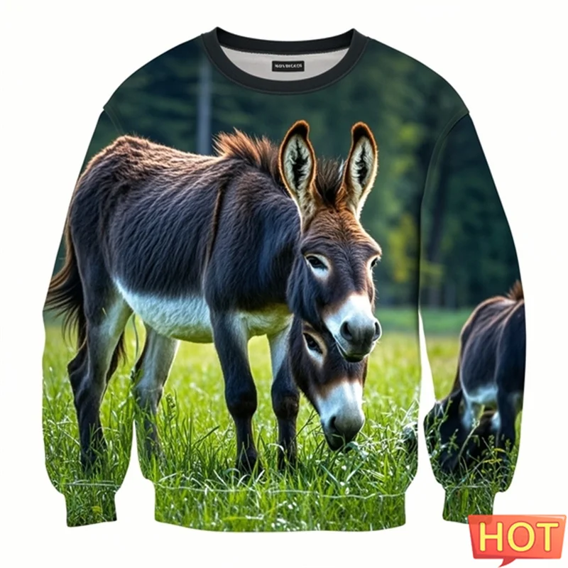 

Donkey Savannah Graphic Sweatshirts 3D Printed Men Pullover Hoodie Outdoor Sportwear Harajuku Fashion Animal Donkey Streetshirt