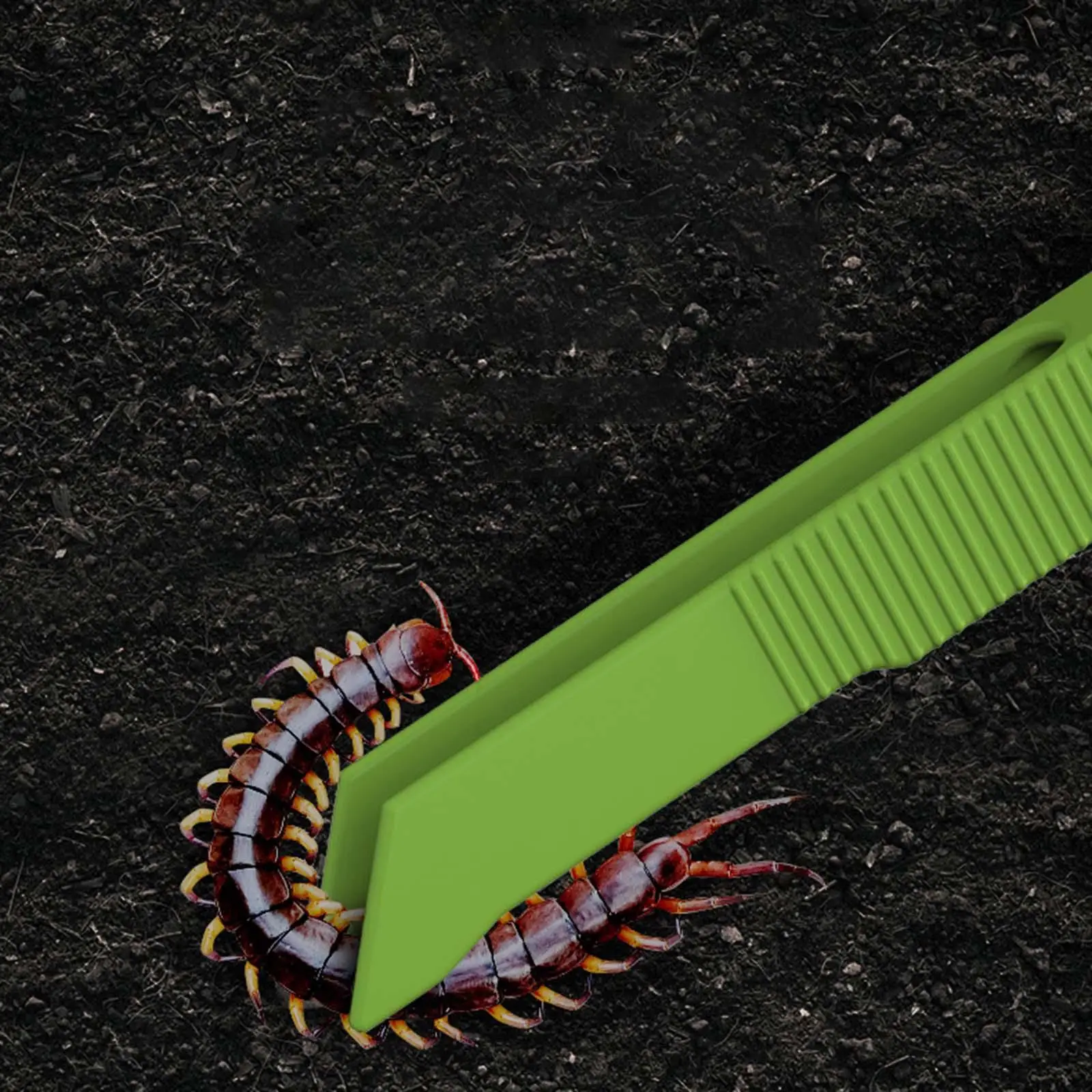 Easy Cleaning Poop Scooper Tweezers Lightweight Feeding Clamp Waste Tool for Hedgehog Guinea Pig Turtles https://ae-pic-a1.aliexpress-media.com/kf/S3721c164167b4faba84061e101d18f70W.jpg