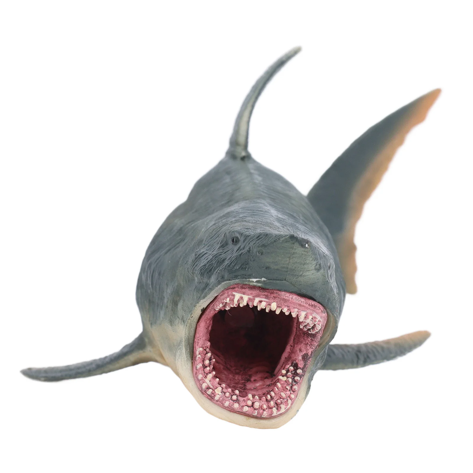 ZK40 Simulation Shark Model Lifelike Vivid Educational Fish Model Toy Marine Animal Toy for Kids Children