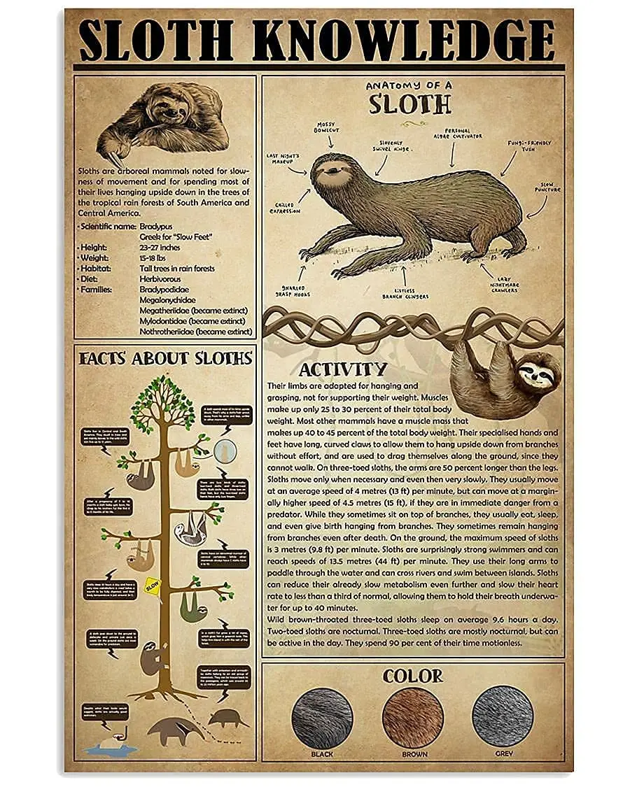 

Veidsuh Sloth Knowledge Vintage Poster Metal Tin Signs Iron Painting Plaque Wall Decor Bar Club Novelty Bathroom Kitchen Toilet