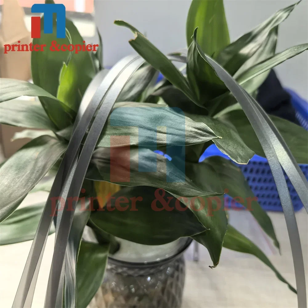1PC 1557662 1518851 1443407 SCALE CR Encoder Strip support for EPSON 1390 1400 1410 1430 1500 R1800 R1900 R2000 R2400 R2880 WF11