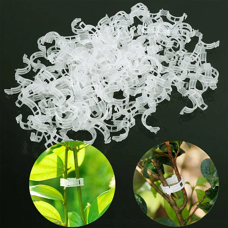 Plastic Plant Clips Supports Reusable Buckle Connects Fixing Vine Tomato Stem Grafting Vegetable Plants Orchard and Garden Tools